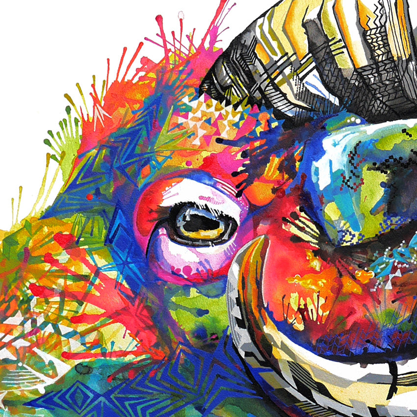 Wall Art | Framed Prints | Sarah Taylor | Modern Art | Framed Wall Art | Pet Portraits | Abstract Art | Framed Art | Bright Wall Art | Colourful Animal Art