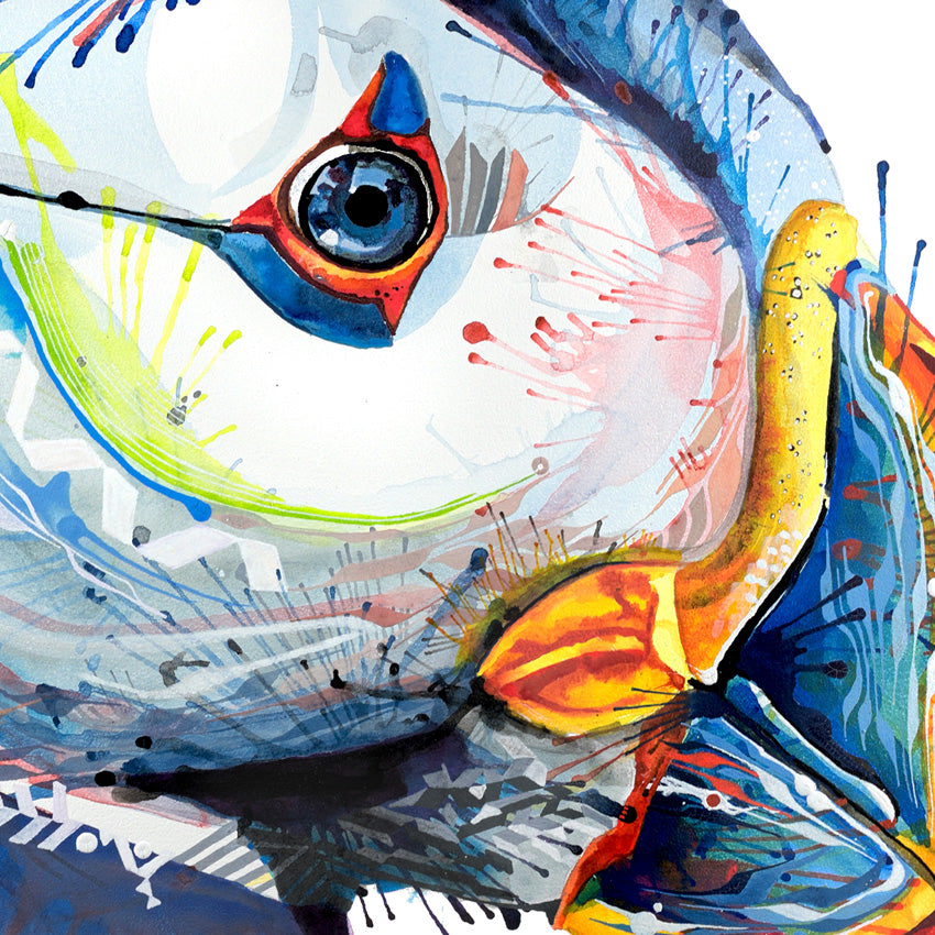 Wall Art | Framed Prints | Animal Art | Sarah Taylor | Modern Art | Framed Wall Art | Animal Picture