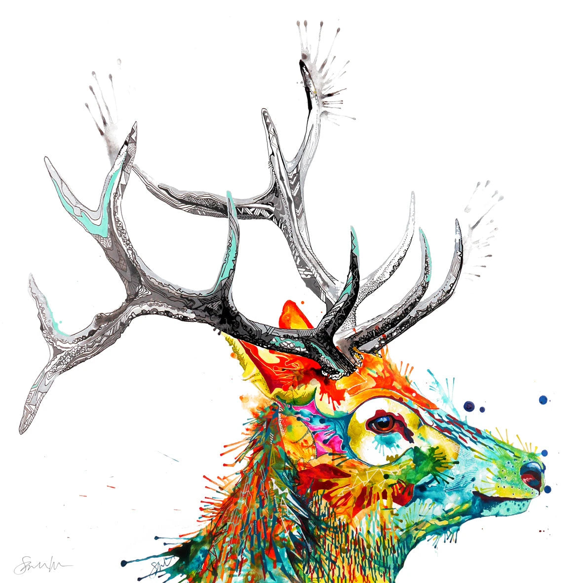 Wildlife Art | Wall Art | Animal Wall Art | Wall Art Colourful | Animal Wall Art | Art Prints Modern
