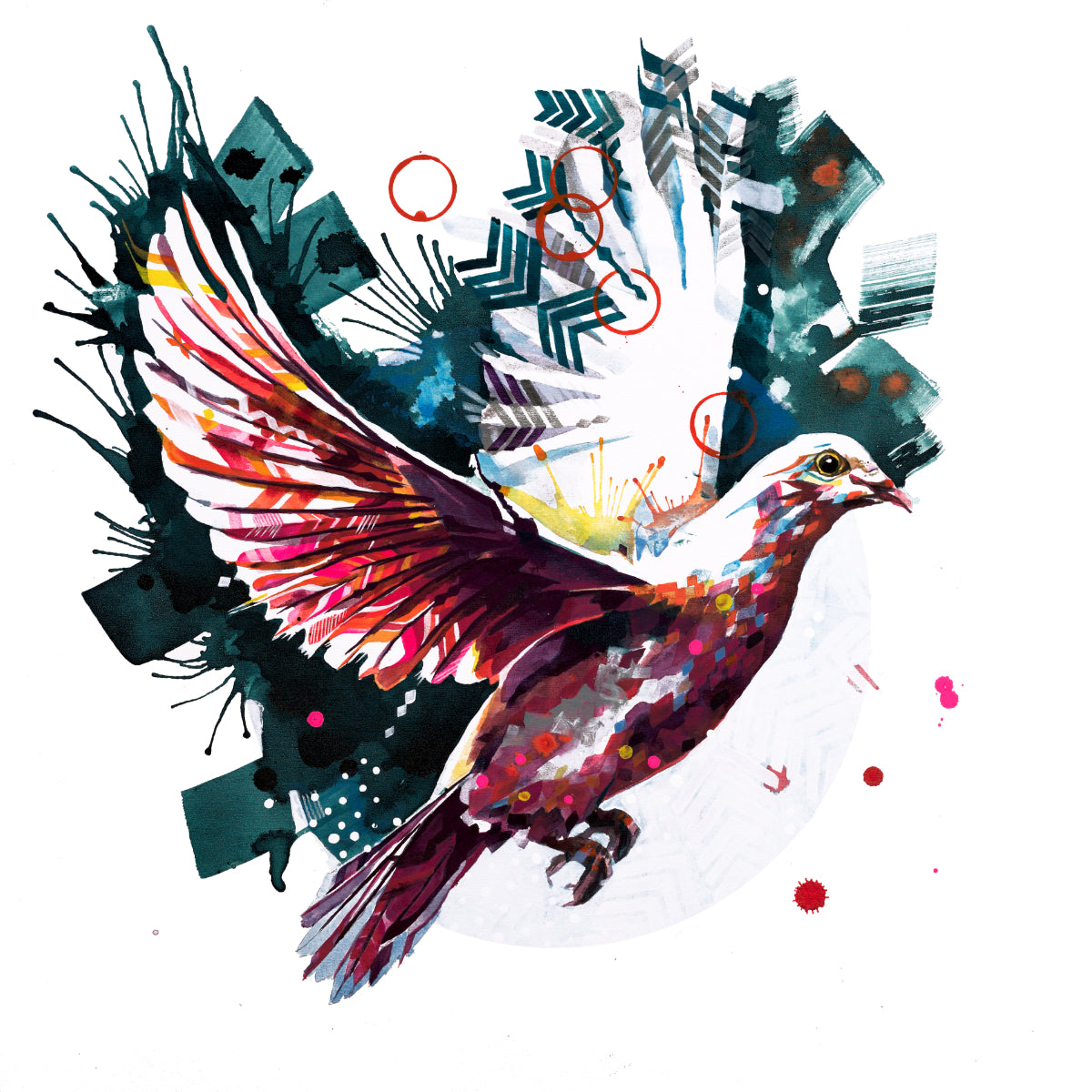 Dove Wall Art | Wallart | Wall Art Of Nature | Wildlife Art | Bright Wall Art | Animal Art Canvas Prints