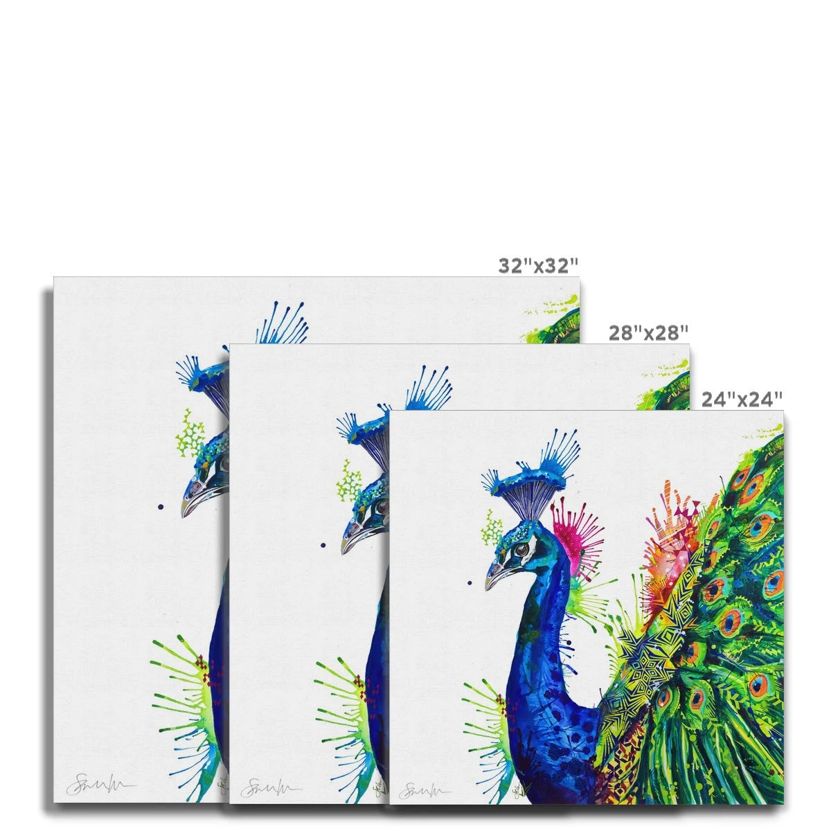 Wall Art | Animal Picture | Animal Portraits | Wall Art Quirky | Animal Art | Sarah Taylor | Art Prints Modern