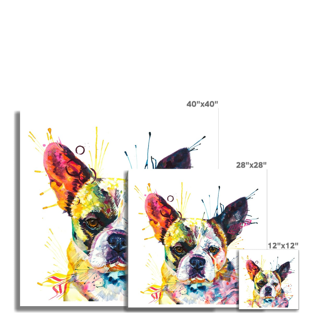 Dog Drawings | Dog Portrait | Pet Portrait Artists | Dog Portrait | Pet Portraits | Art Commissions | Framed Prints | Wall Prints | Living Room Wall Art