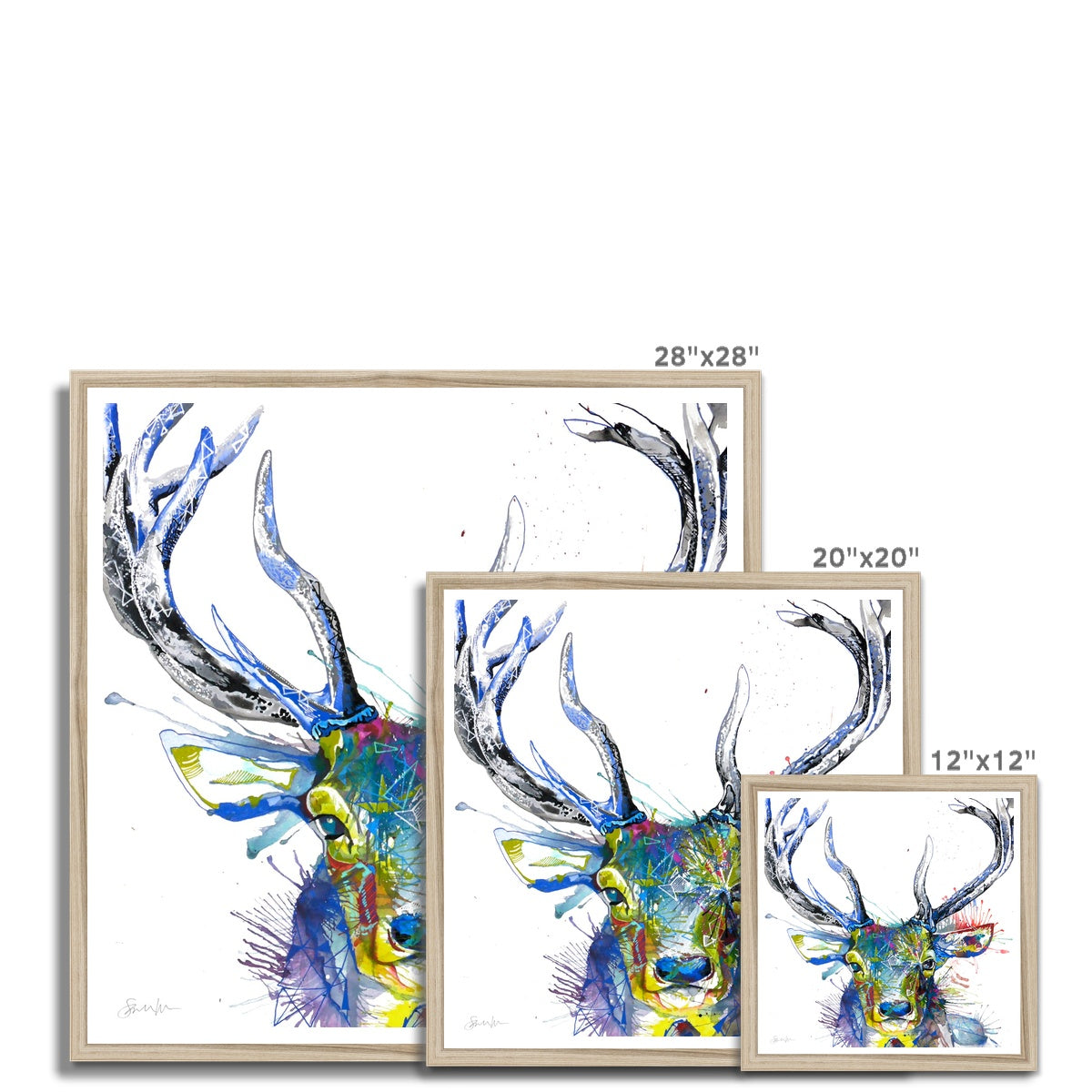 Wall Art | Wildlife Art | Sarah Taylor | Animal Art | Framed Prints | Animal Picture | Modern Art