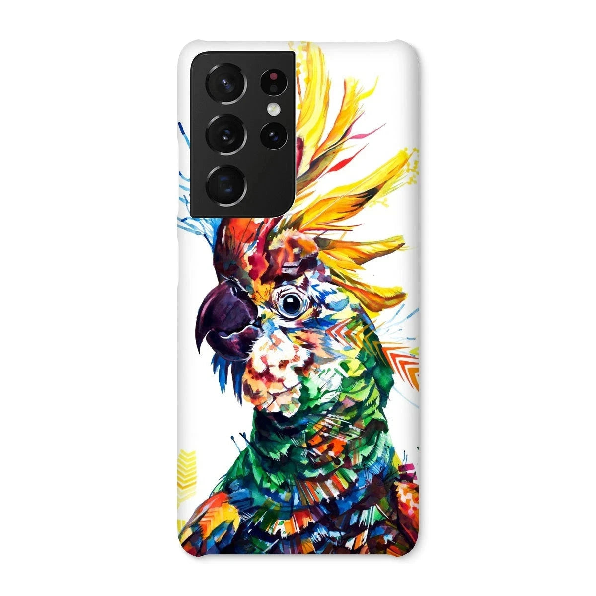 Wildlife Art | Colourful Animal Art | Sarah Taylor | Funny Animal Pictures | Animal Art
