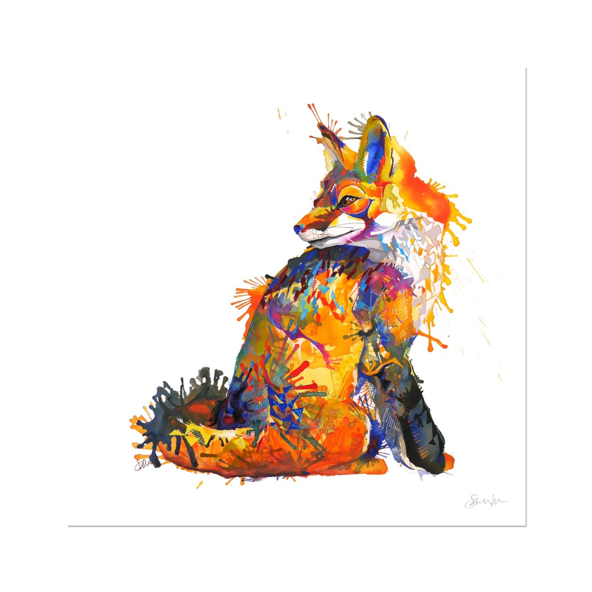 Wall Art | Framed Prints | Sarah Taylor | Modern Art | Framed Wall Art | Pet Portraits | Abstract Art | Framed Art | Bright Wall Art | Colourful Animal Art