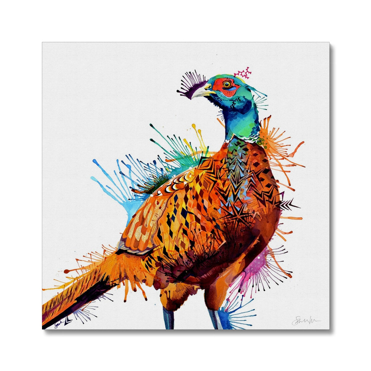 Framed Prints | Wall Art | Modern Art | Sarah Taylor | Animal Picture | Wallart | Abstract Wall Art