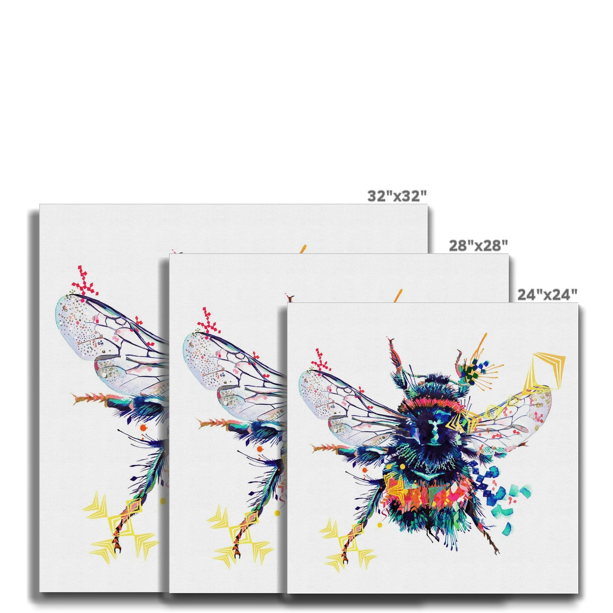 Wall Art | Modern Art | Animal Picture | Framed Prints | Sarah Taylor | Framed Art