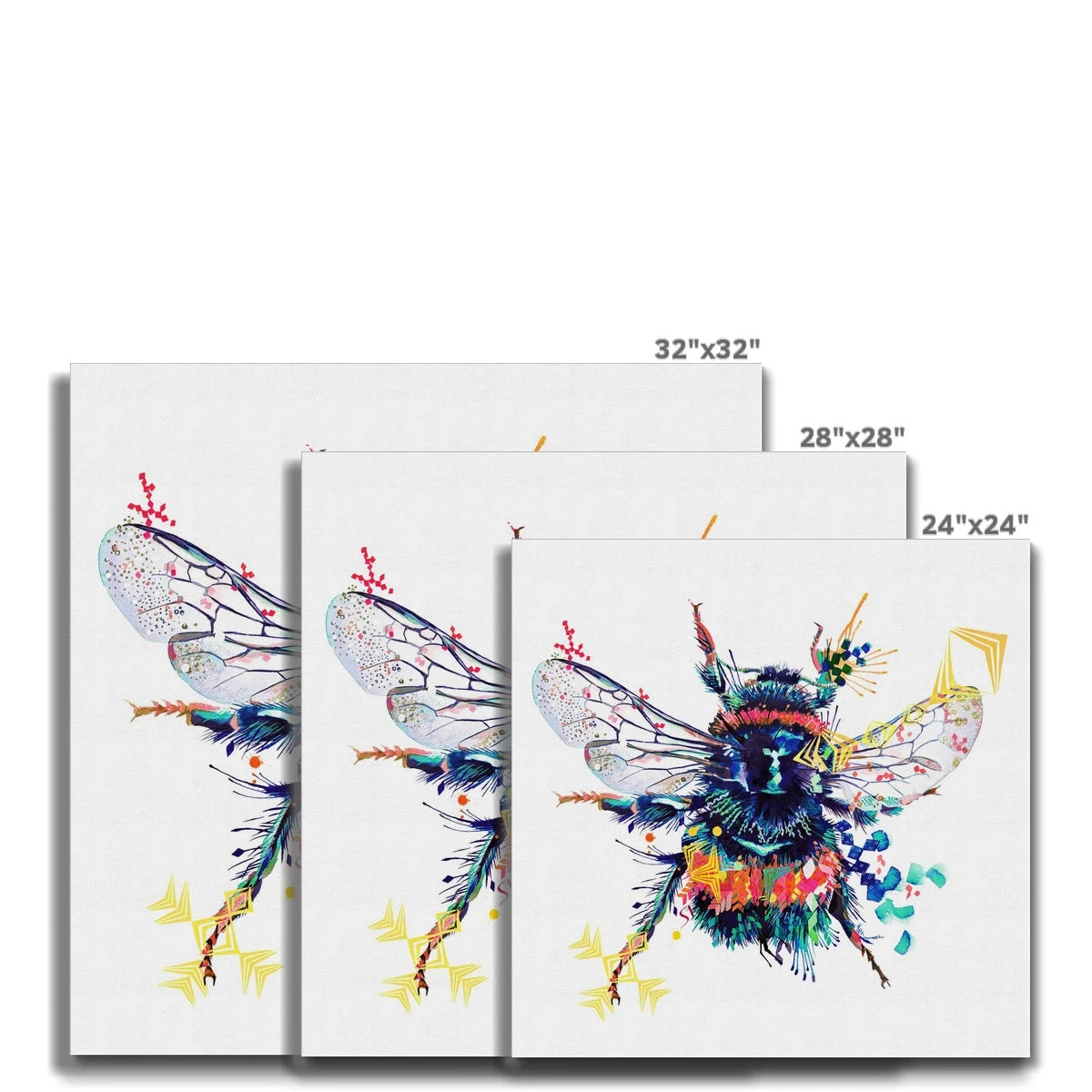 Wall Art | Modern Art | Animal Picture | Framed Prints | Sarah Taylor | Framed Art