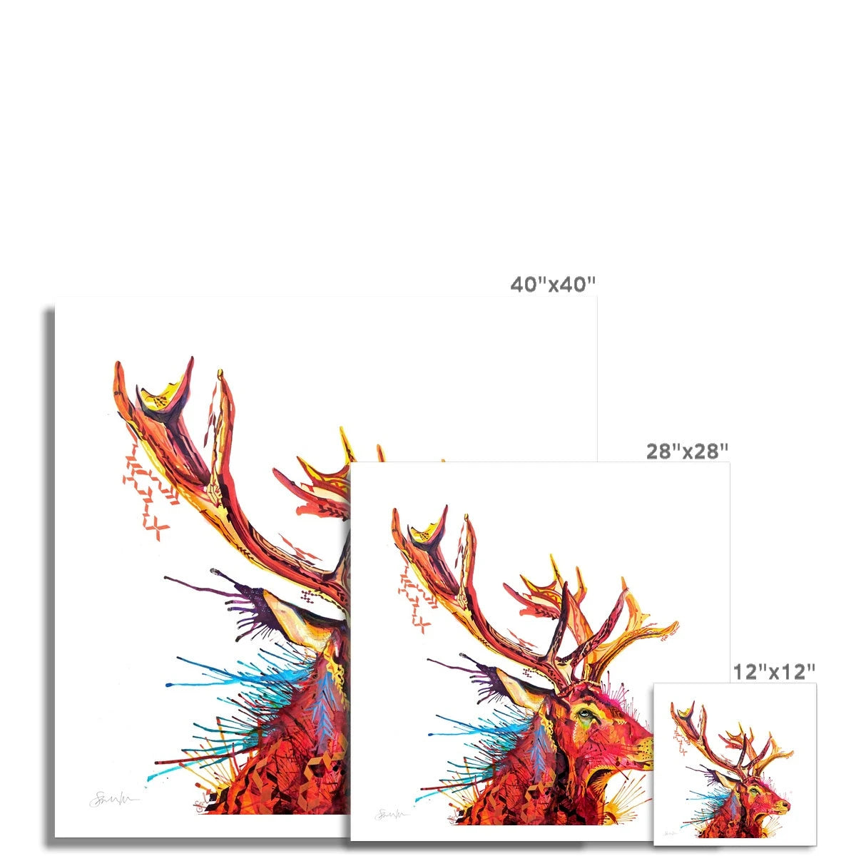 Wall Art | Framed Prints | Sarah Taylor | Modern Art | Framed Wall Art | Colourful Animal Art