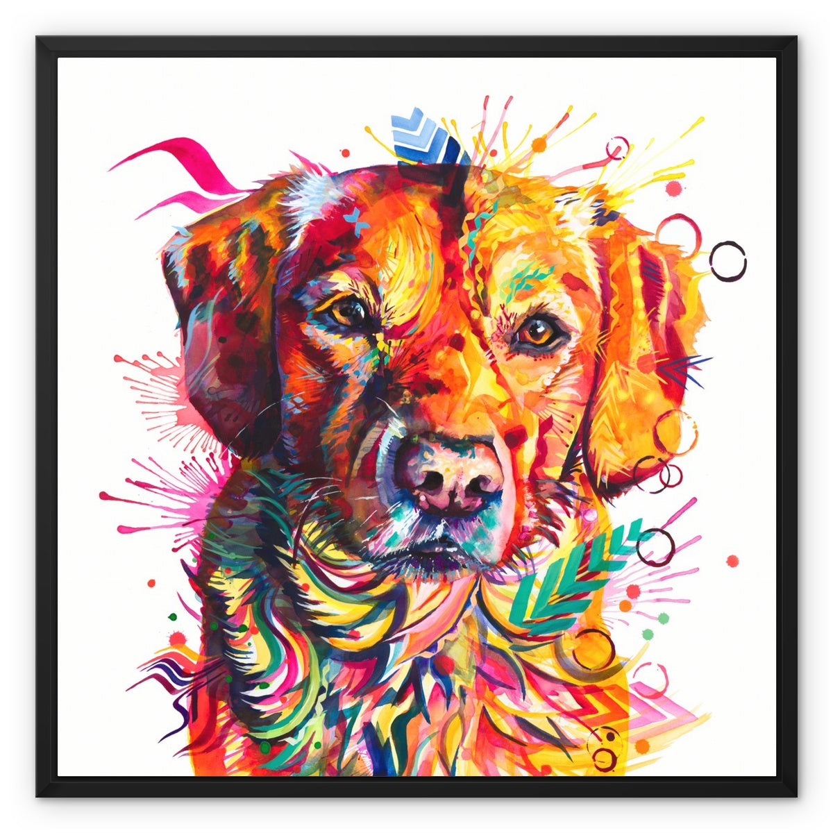 Brodie the Labrador Framed Canvas