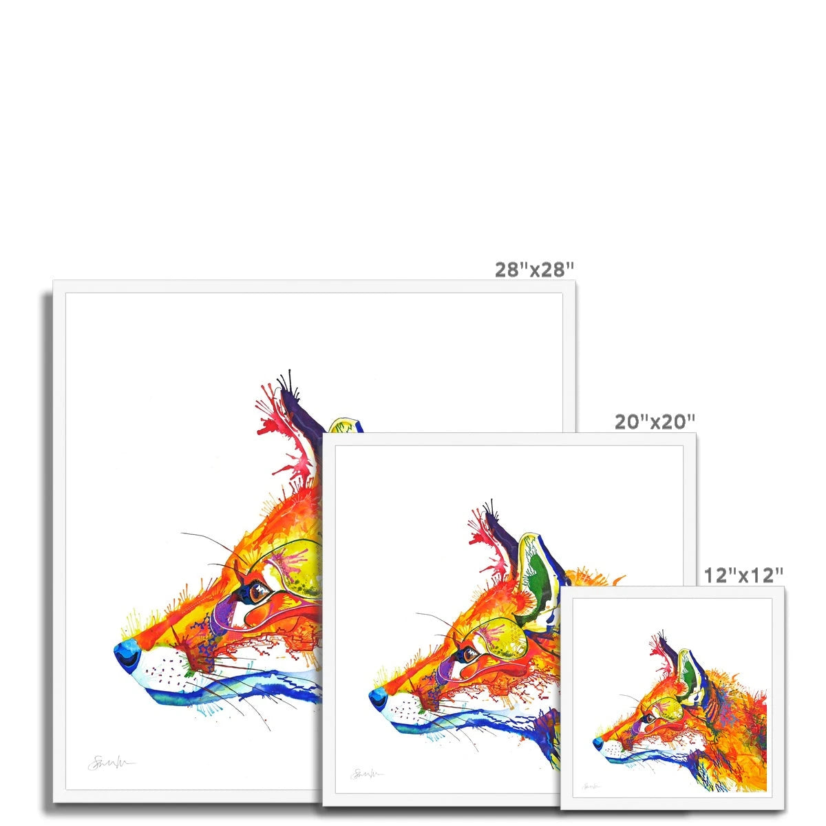 Wall Art | Wildlife Art |Sarah Taylor | Animal Art | Framed Art | Wall Prints | Wall Art On Canvas