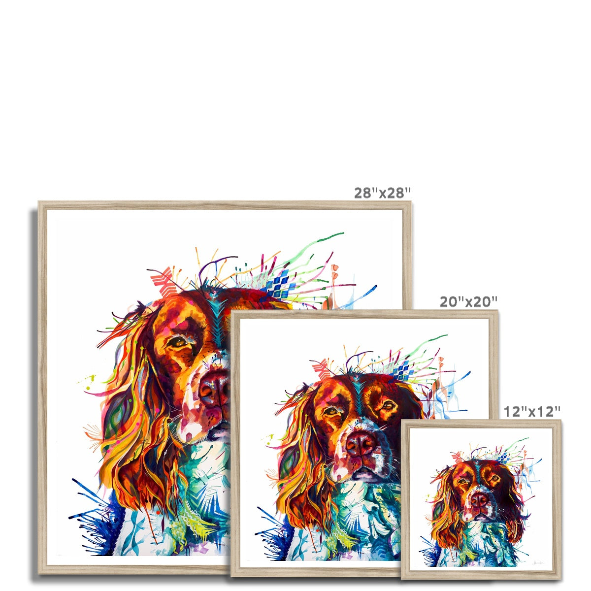 Springer Spaniel Artwork | Springer Spaniel Art | Dog Drawings | Dog Portrait | Dog Canvas Prints | Personalised Dog Portrait | Sarah Taylor | Framed Prints | Wall Prints