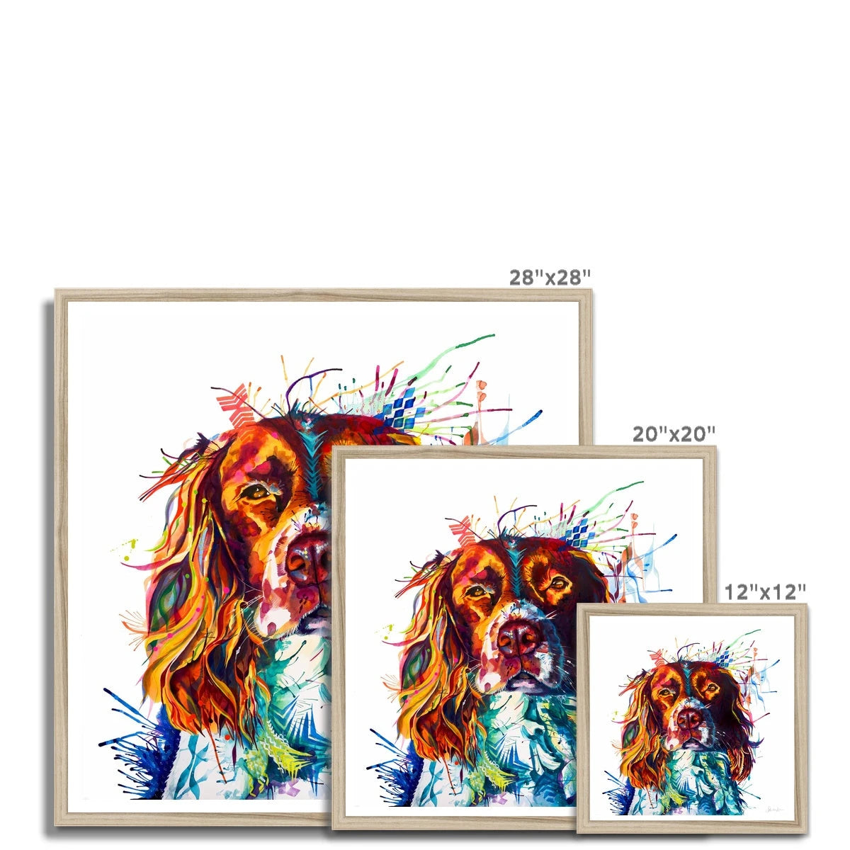 Springer Spaniel Artwork | Springer Spaniel Art | Dog Drawings | Dog Portrait | Dog Canvas Prints | Personalised Dog Portrait | Sarah Taylor | Framed Prints | Wall Prints