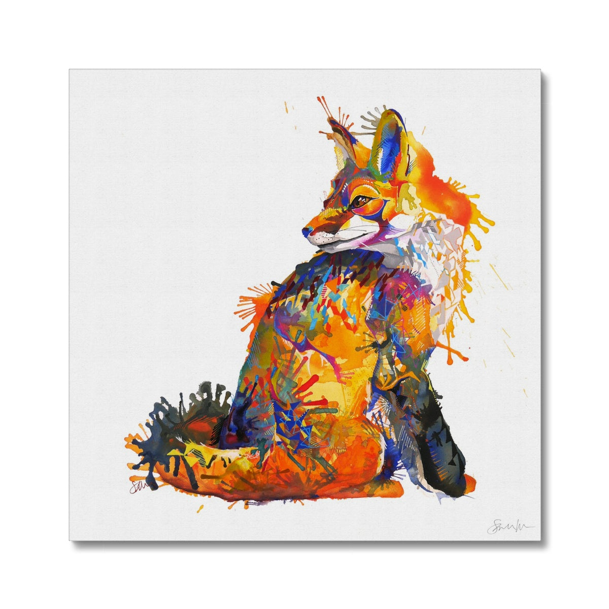 Wall Art | Framed Prints | Sarah Taylor | Modern Art | Framed Wall Art | Pet Portraits | Abstract Art | Framed Art | Bright Wall Art | Colourful Animal Art