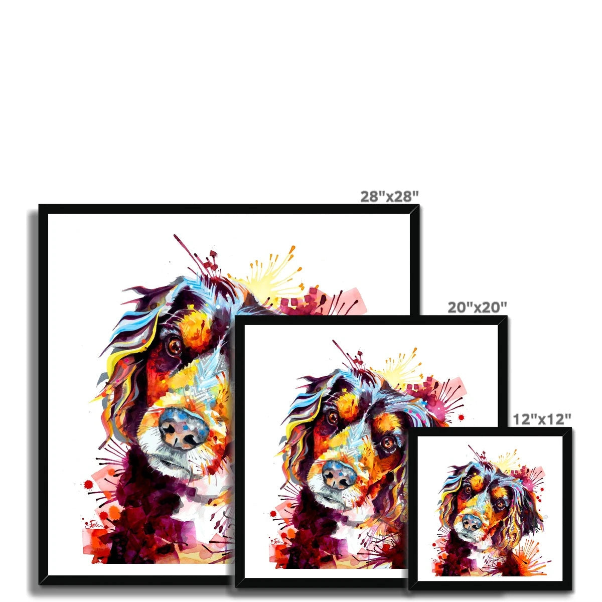 Cocker Spaniel Pictures | Cocker Spaniel Artwork | Dog Drawings | Dog Portrait | Wallart | Sarah Taylor | Pet Portrait Artists | Pet Portraits | Art Commissions | Framed Prints |