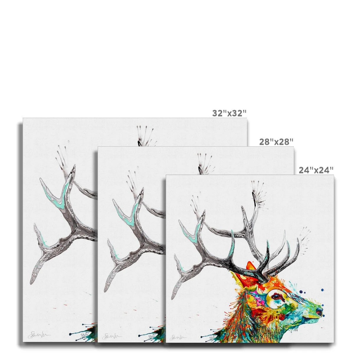 Wall Art | Wildlife Art | Sarah Taylor | Animal Art | Framed Art | Wall Prints | Wall Art On Canvas