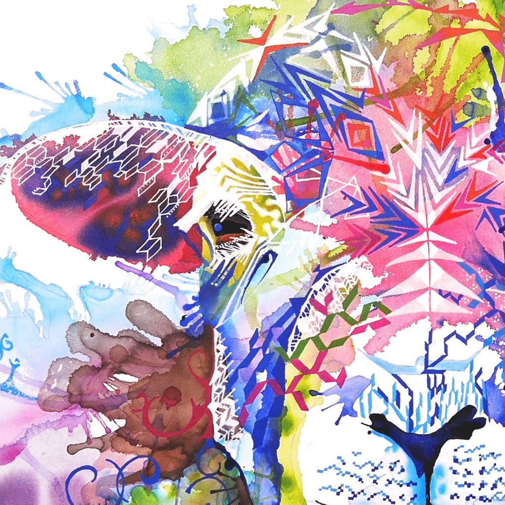 Wall Art | Framed Prints | Colourful Animal Art | Sarah Taylor | Modern Art | Framed Wall Art