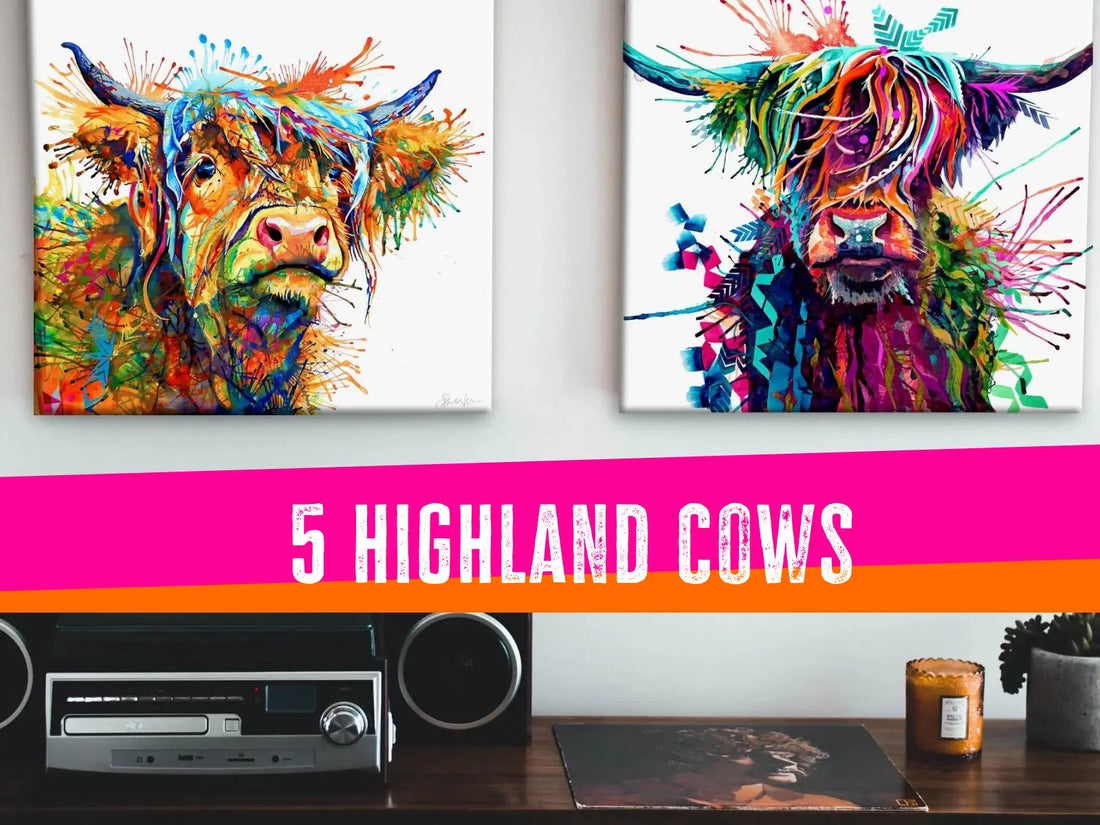 5 highland cow paintings