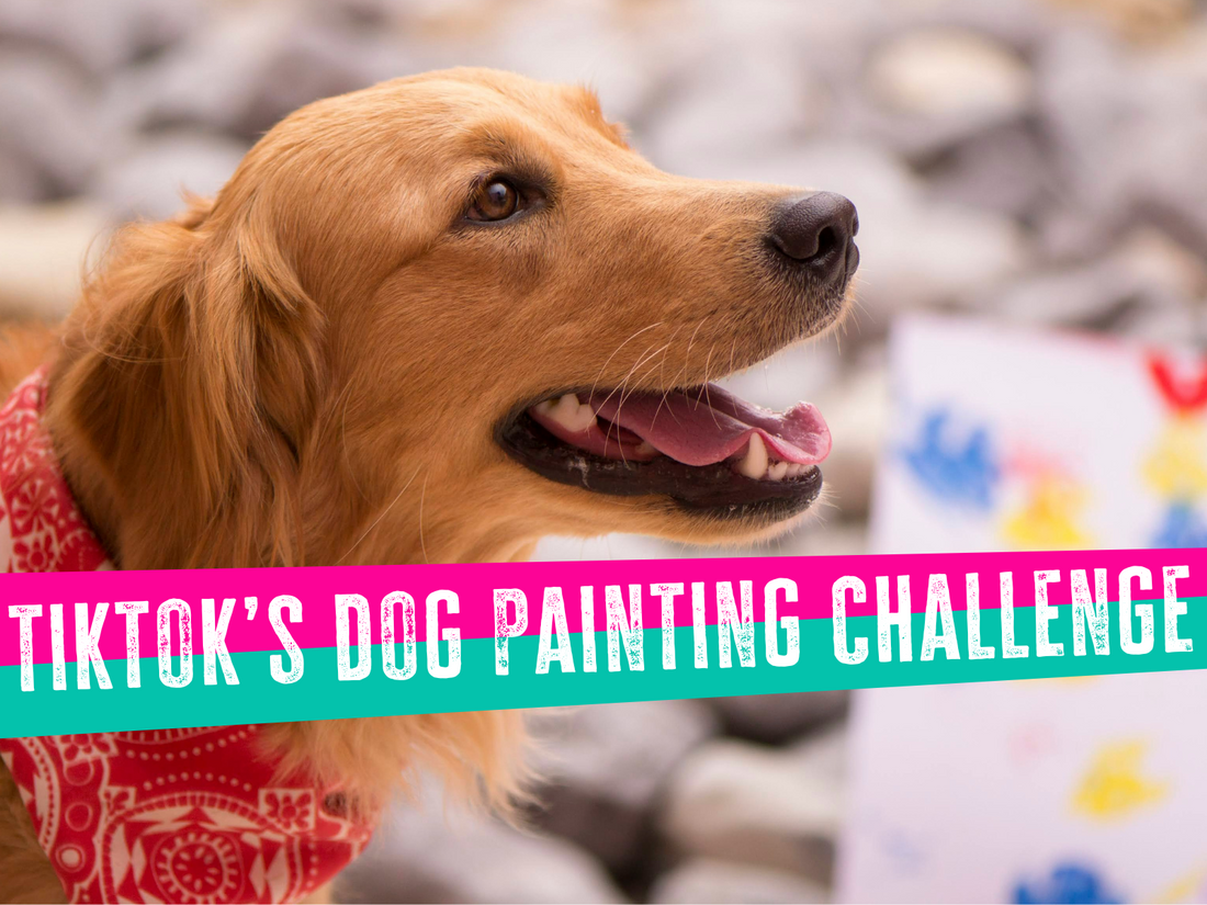 tiktok dog painting challenge