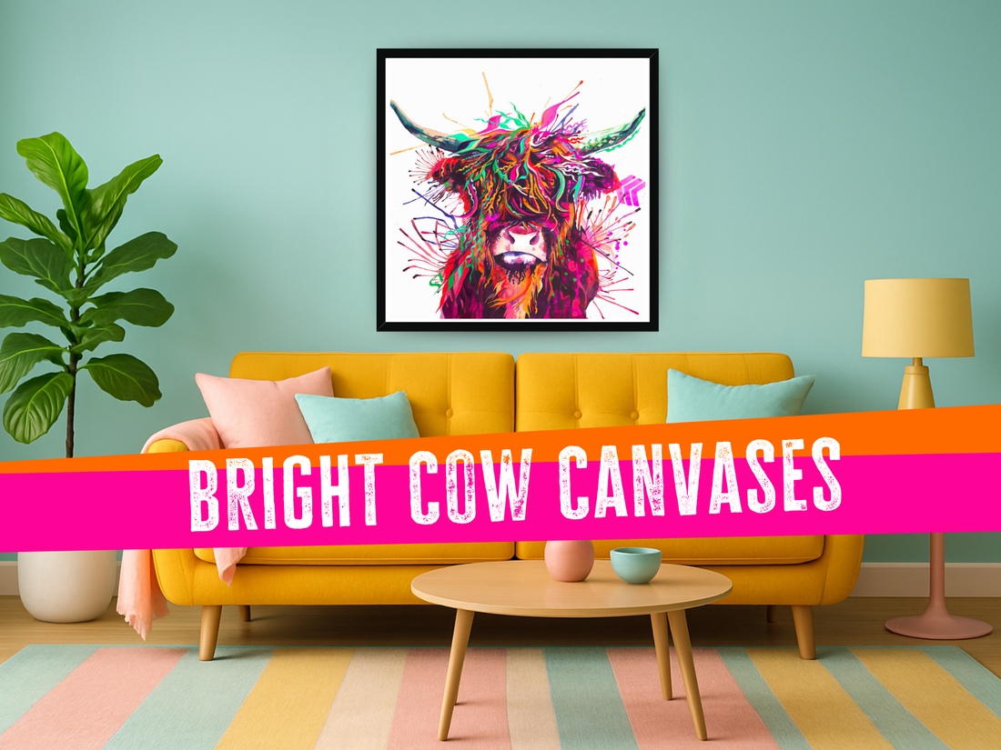 cow art, highland cow art