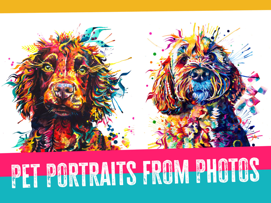 Pet portrait from photos; How to photograph your pet in 5 easy steps