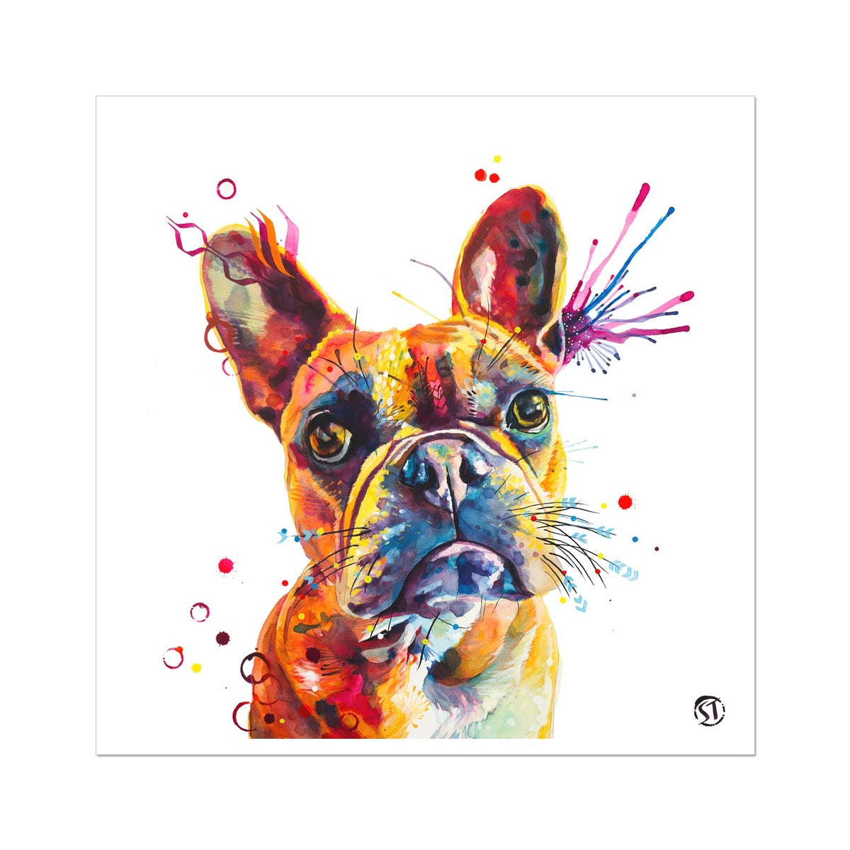 Stella the Frenchie (French Bulldog)