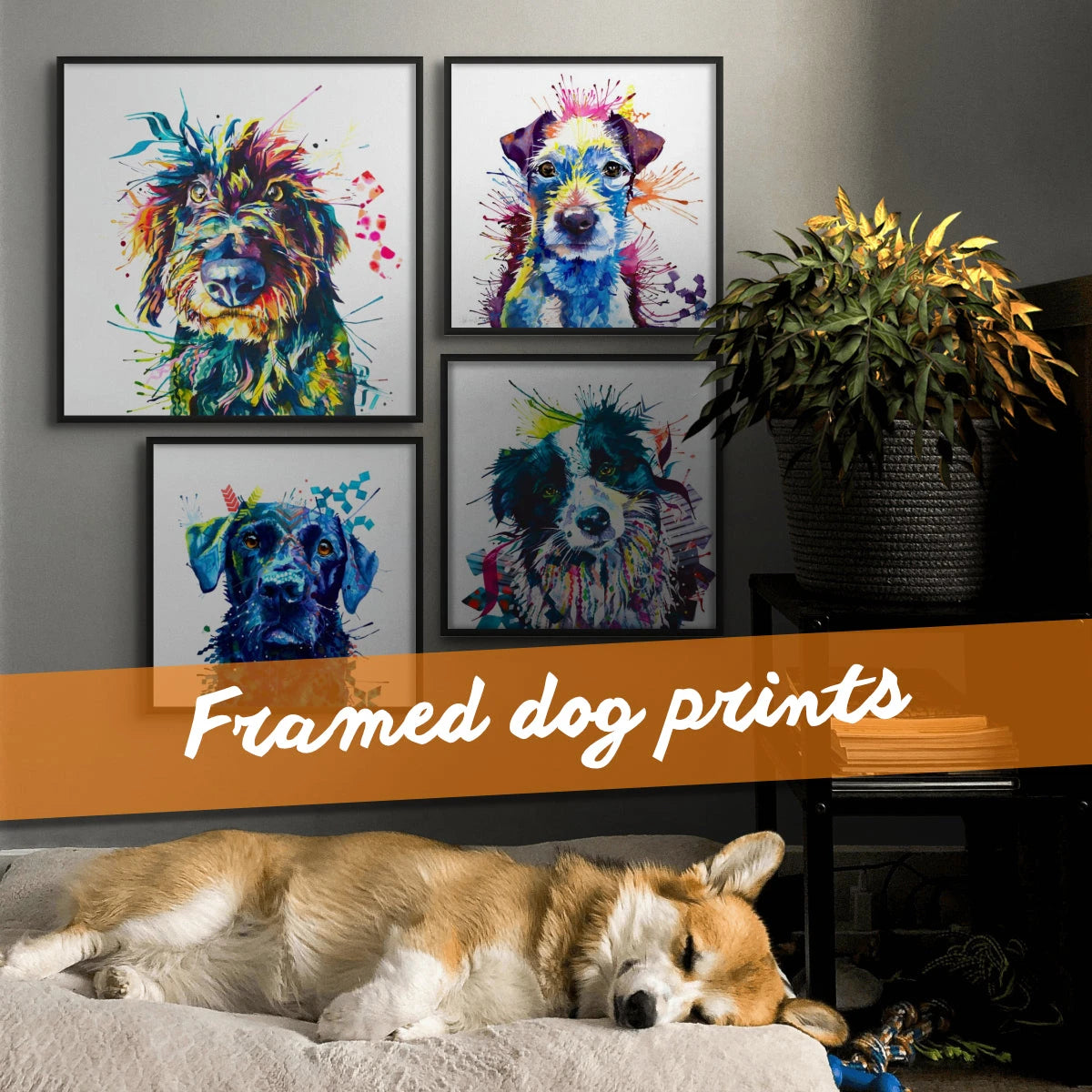 Framed-dog-prints Sarah Taylor Art