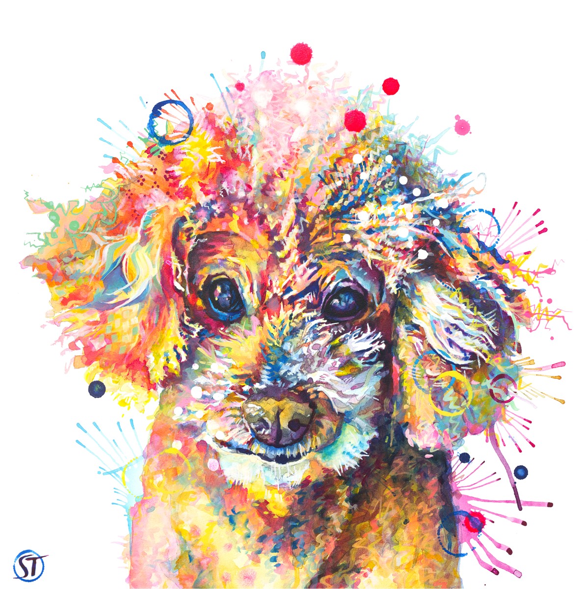Toy Poodle Whiskey