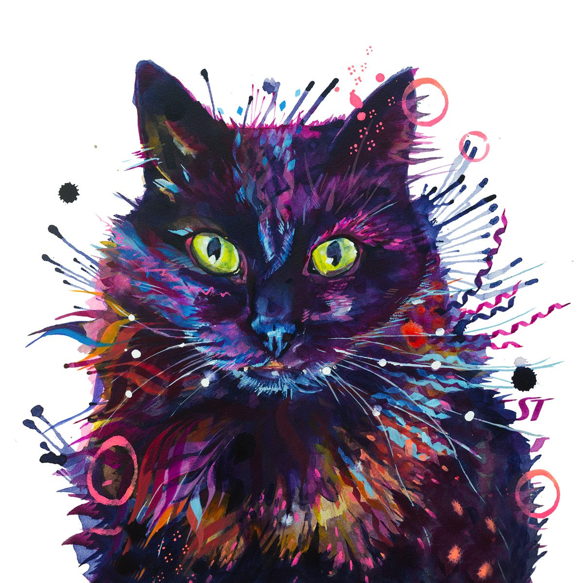 Merlin the Black Cat