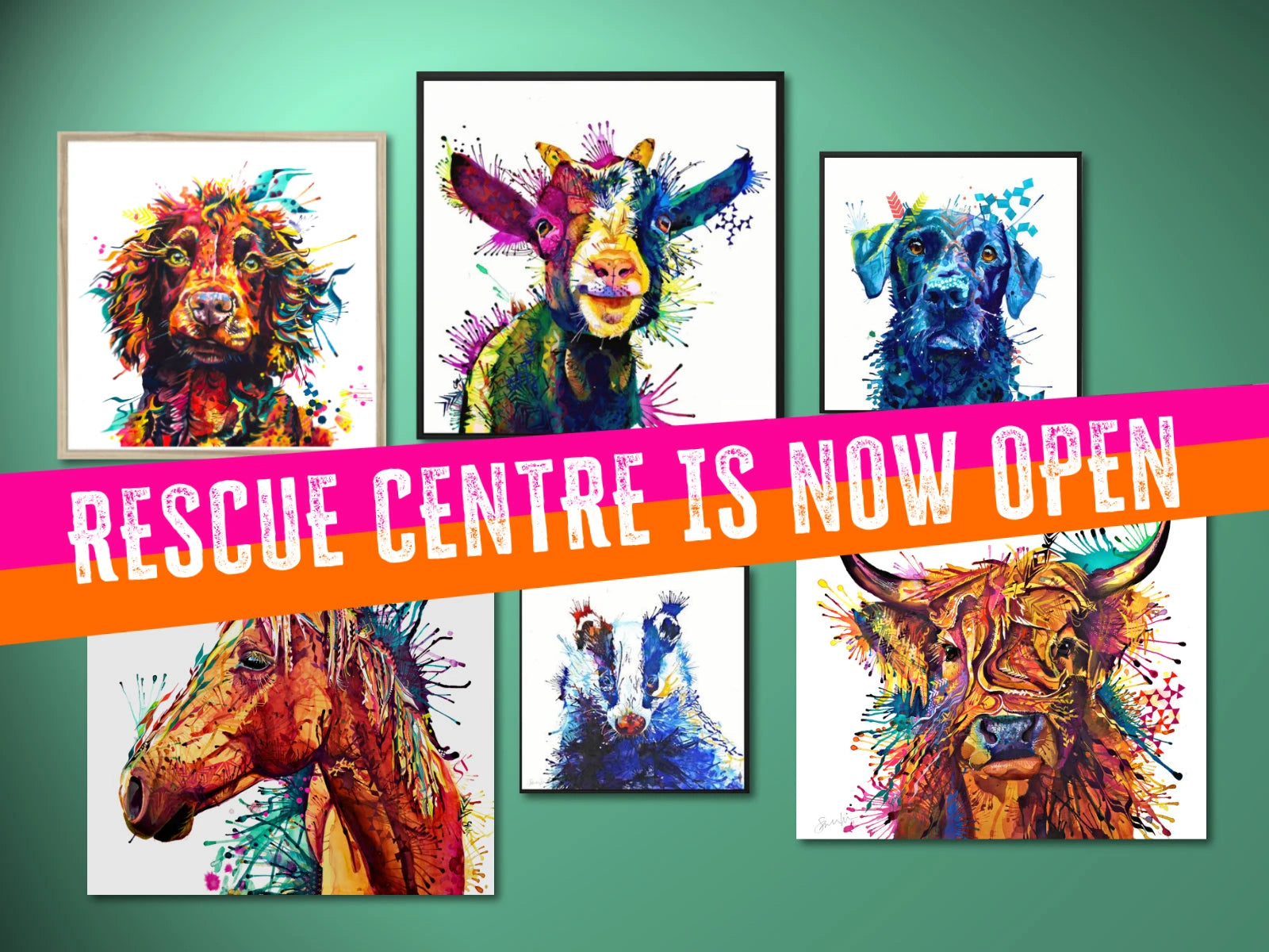 Rescue-Centre Sarah Taylor Art