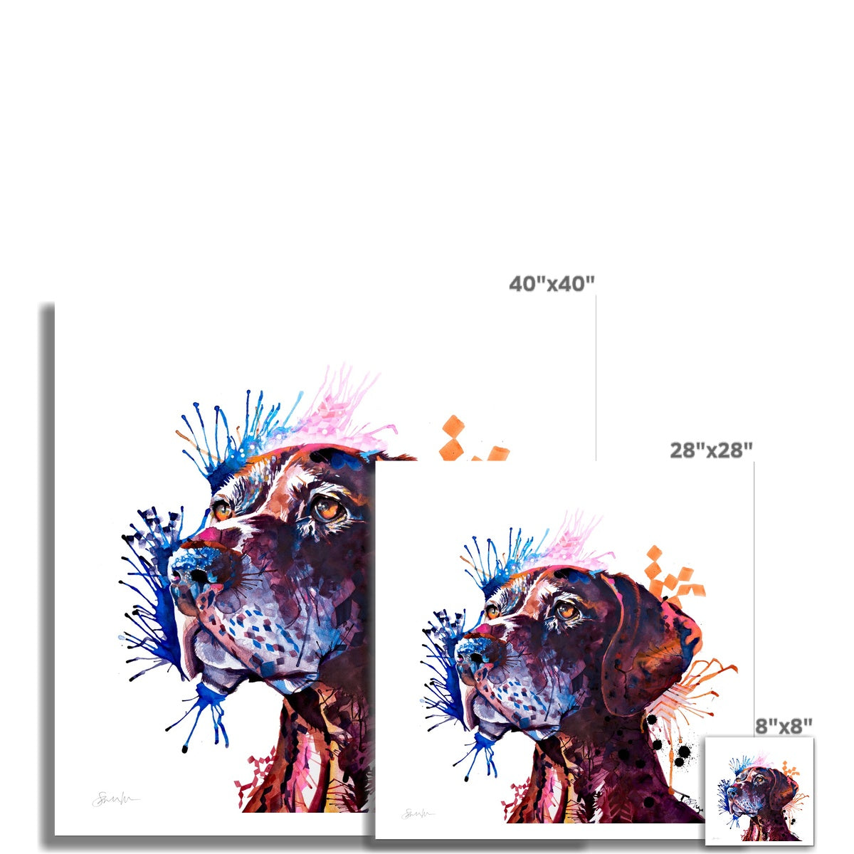 Percy the German Short-haired Pointer Fine Art Print