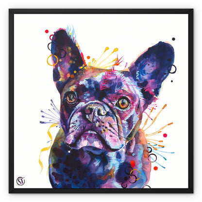 Poppy the Frenchie (French Bulldog) Framed Canvas