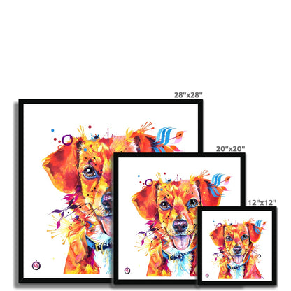 Dora the Beagle Terrier Mix Framed Print