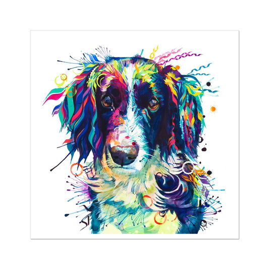 Jake the Springer Spaniel Fine Art Print