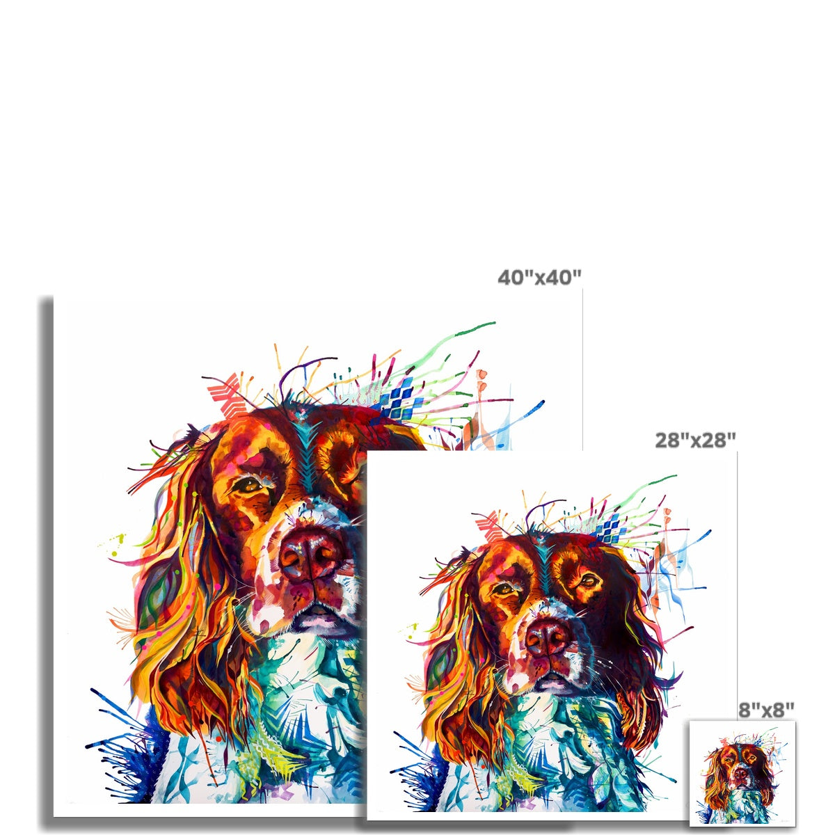 Spruce the Springer Spaniel Fine Art Print