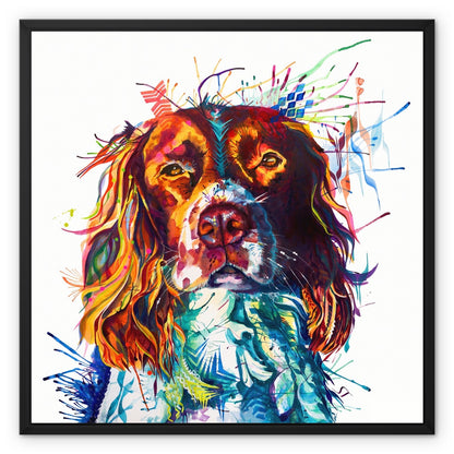 Spruce the Springer Spaniel Framed Canvas