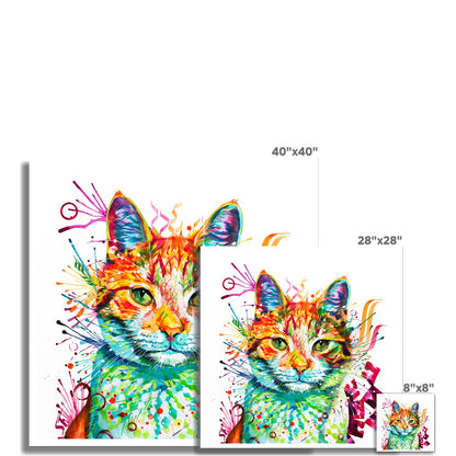 Ziggy the Cat Fine Art Print