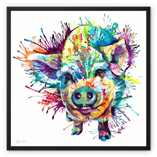 Gloria the Kune Kune Pig Framed Canvas
