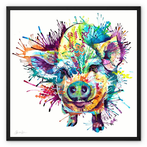 Gloria the Kune Kune Pig Framed Canvas Sarah Taylor Art