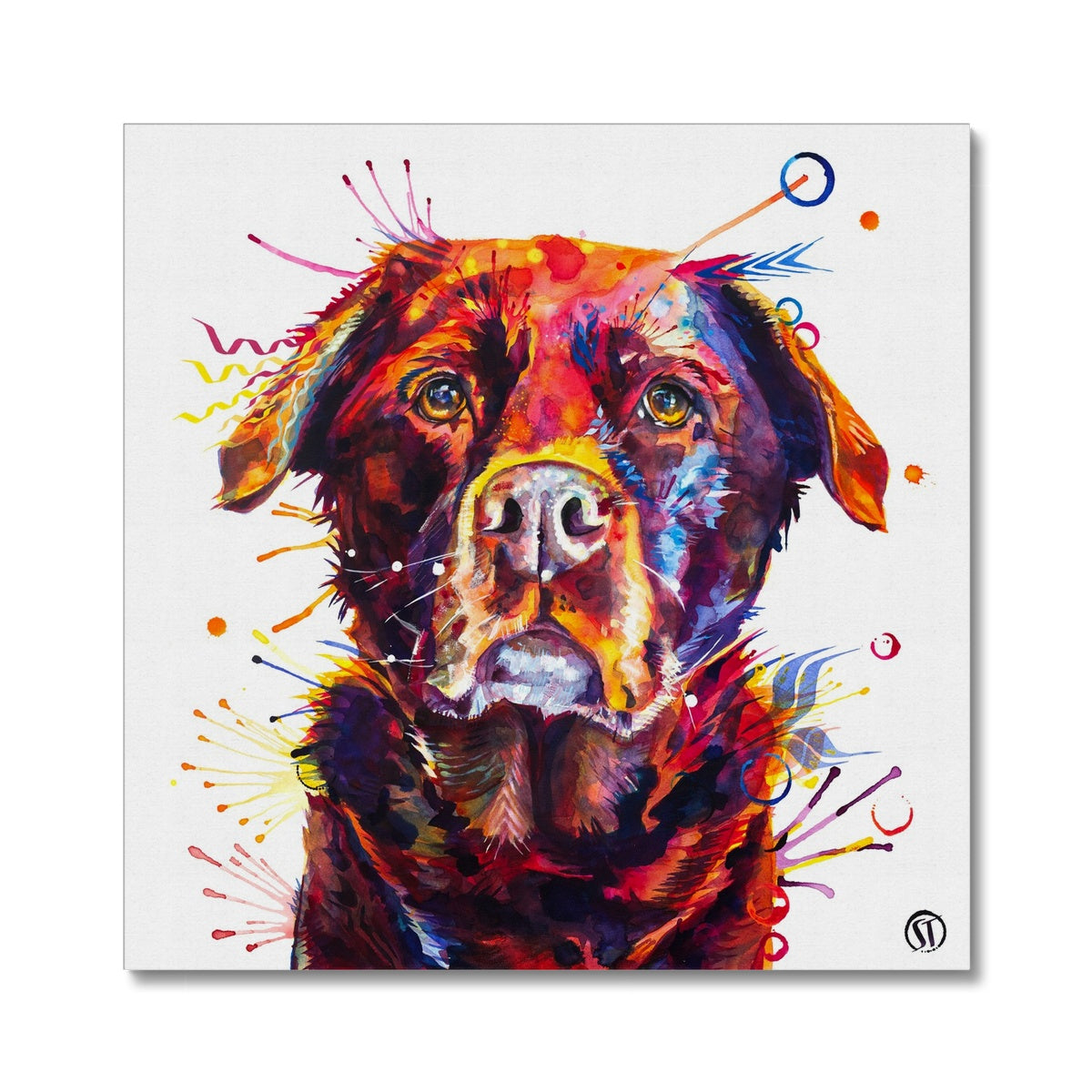 Rosey the Chocolate Labrador Canvas