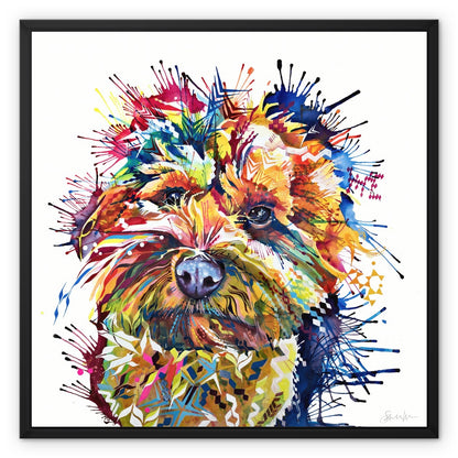 Meemin the Yorkiepoo Framed Canvas