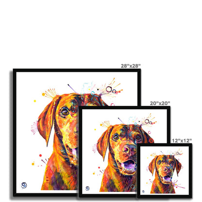 Freo the Vizsla Framed Print