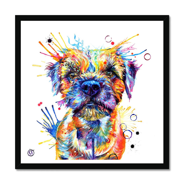Allan the Border Terrier Framed Print Sarah Taylor Art