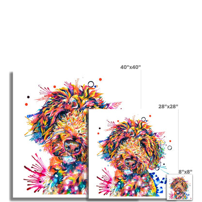 Geoffrey the Cockapoo Fine Art Print