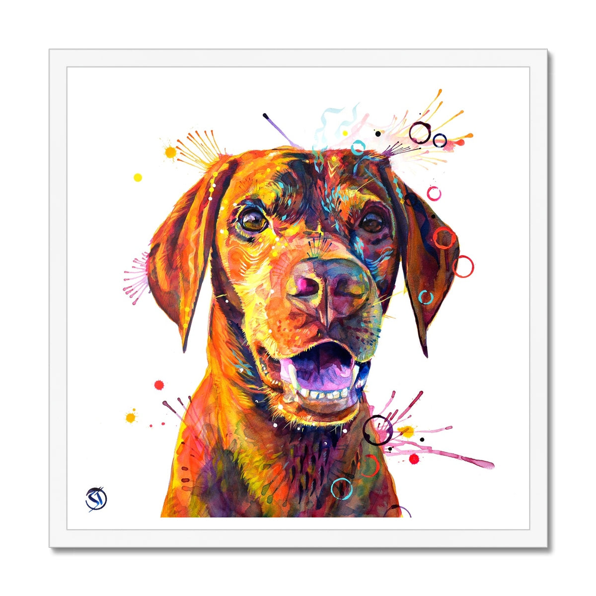 Freo the Vizsla Framed Print