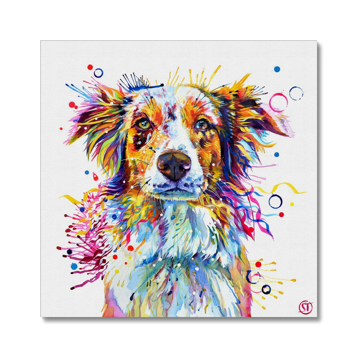 Mabel the Collie Canvas