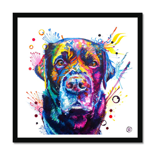 Beckett the Black Lab Framed Print