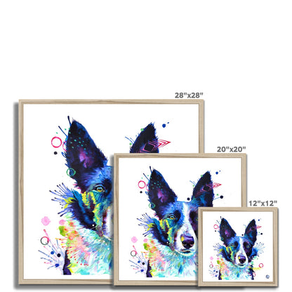 Jess the Border Collie Framed Print