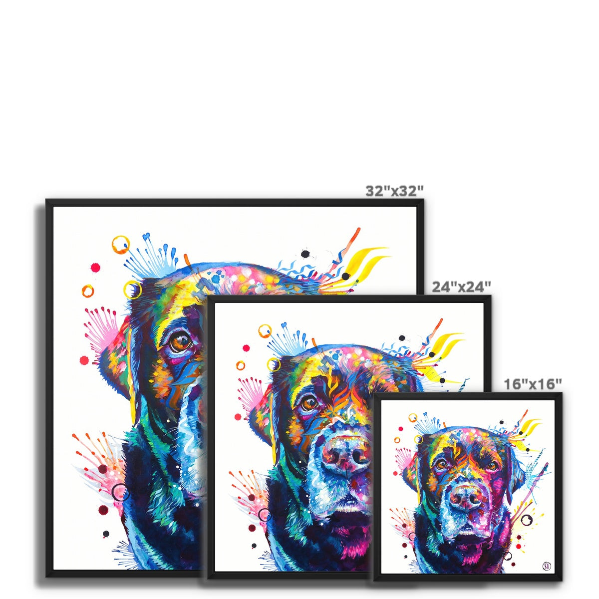 Beckett the Black Lab Framed Canvas