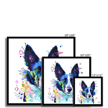 Jess the Border Collie Framed Print